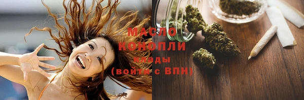 гидра Медногорск