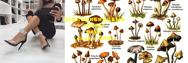 гидра Медногорск