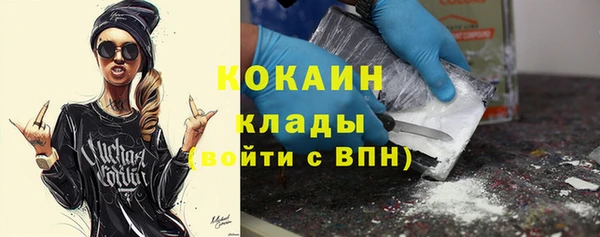 стаф Заполярный