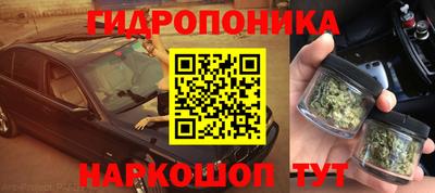 трава Шебекино