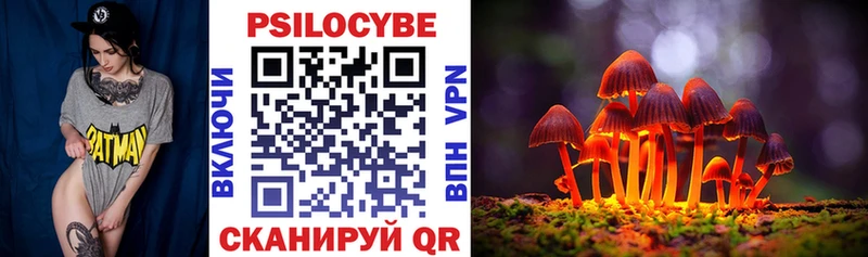 закладки  Нерюнгри  hydra зеркало  Псилоцибиновые грибы прущие грибы 